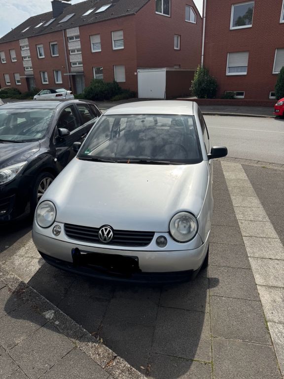 Lupo