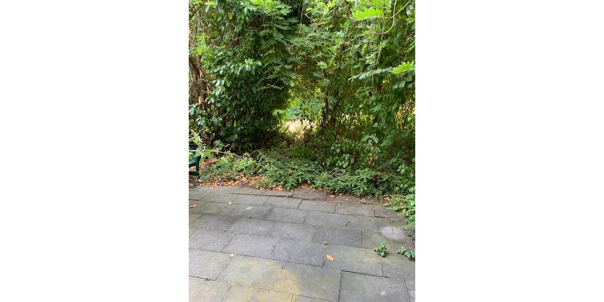 Terrassenwohnung Solingen Ohligs - 1 Zimmer, 40 m&sup2;, 555&euro; | Angebot:25709815