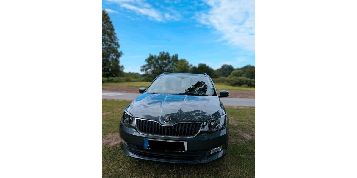 Skoda Fabia 173.624 km 6.600 &euro; Leverkusen 51377