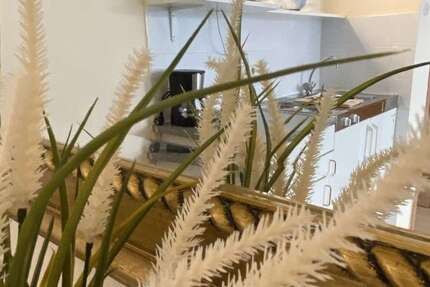 Wohnung zum Mieten in Düsseldorf 1.050 € 27 m² 1 zimmer