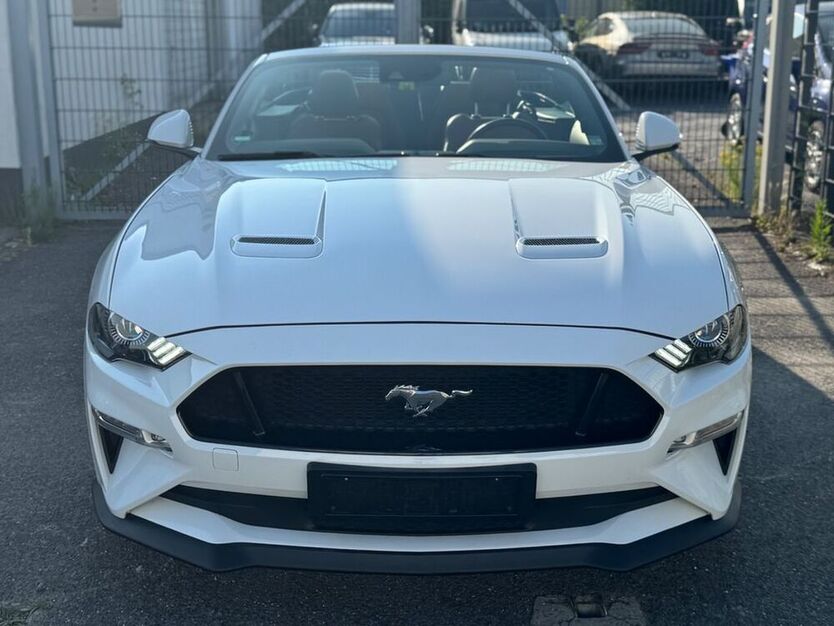 Mustang