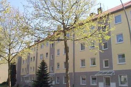 Wohnung Mönchengladbach Eicken - 2 Zimmer, 49 m&sup2;, 509&euro; | Angebot:26458197