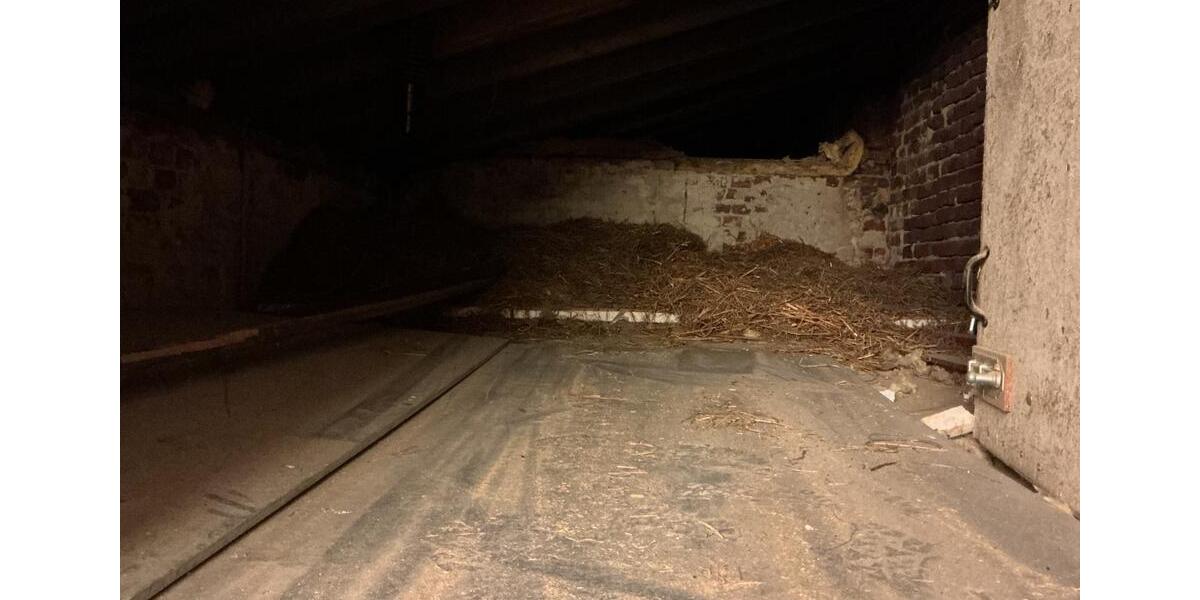 Alte Schreinerei , Hobbyraum, Kunstatelier, Werkstatt zimmer