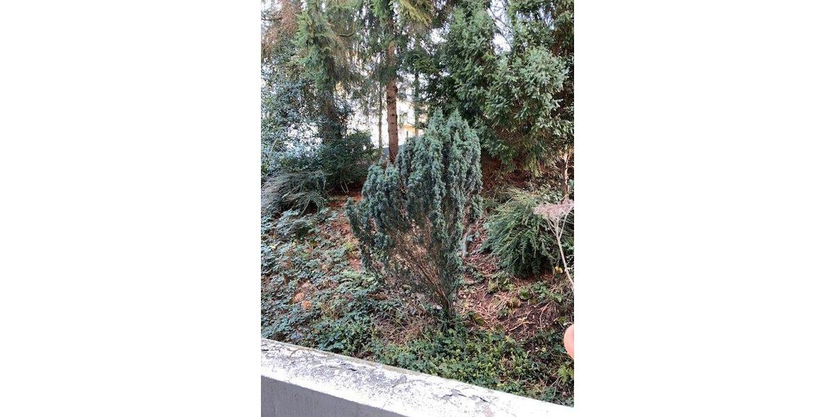 Etagenwohnung Wuppertal Eckbusch - 2 Zimmer, 54 m&sup2;, 486&euro; | Angebot:26408181