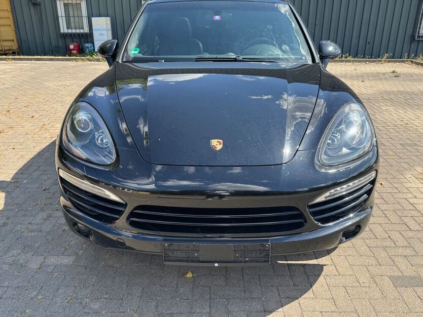 Cayenne