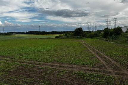 Schöne 72 qm Dachgeschosswohnung Neusserfurth-Nord 3 zimmer