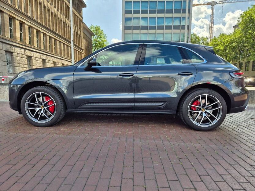 Macan