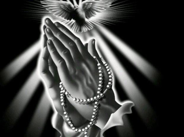 Gewerbeobjekt Dormagen Hackenbroich - 550&euro; | Angebot:24658144