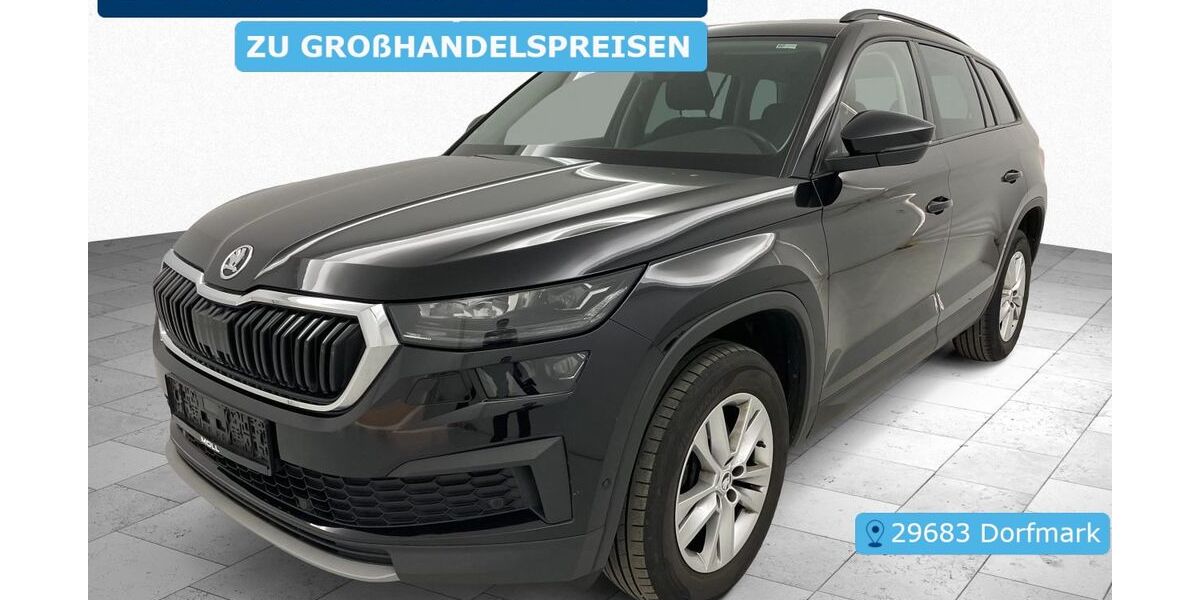 Skoda Kodiaq 124.917 km 24.497 &euro; Krefeld 47829