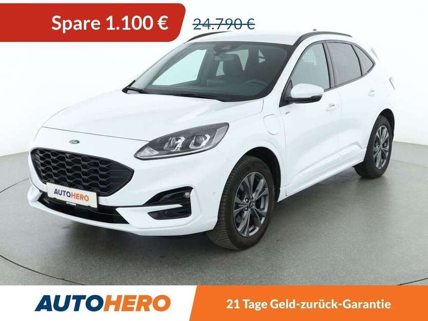 Kuga