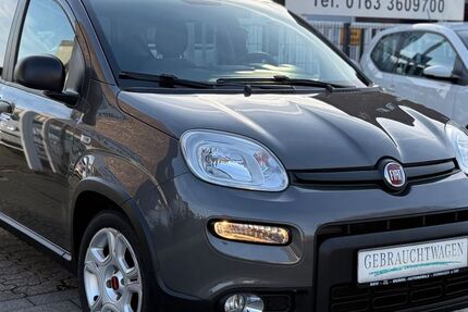 Fiat Panda 30.000 km 10.890 &euro; Dormagen 41539