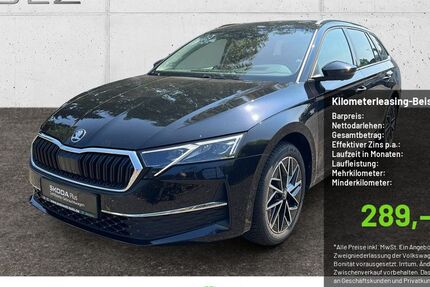 Skoda Octavia 19.992 km 28.990 &euro; Pulheim-Brauweiler 50259