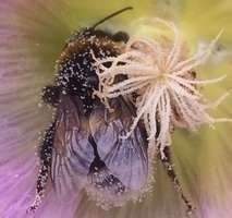 Etagenwohnung Düsseldorf Rath - 3 Zimmer, 92 m&sup2;, 1.250&euro; | Angebot:24656930