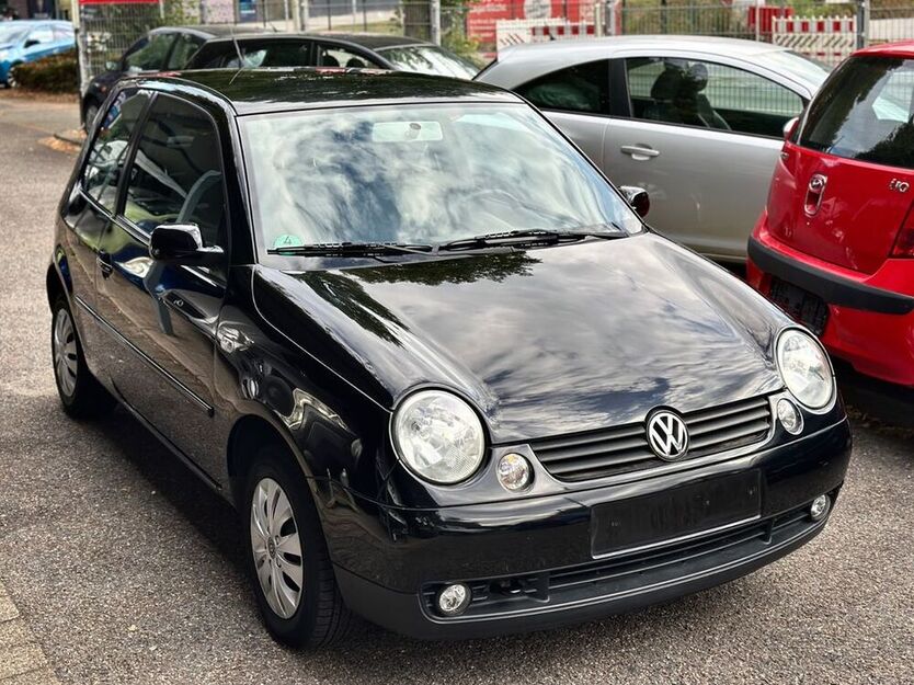 Lupo
