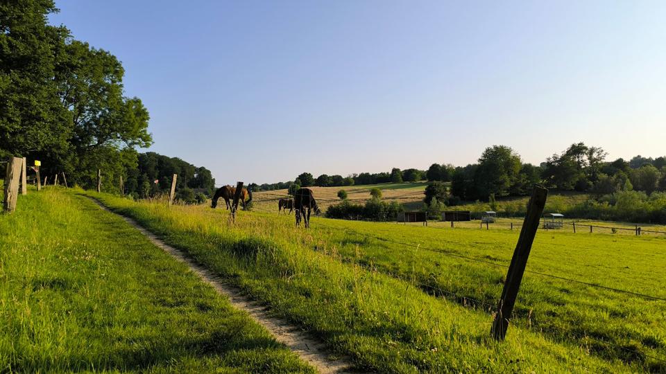 ZWISCHENMIETE 3 Monate in Gerresheim 2.5 zimmer