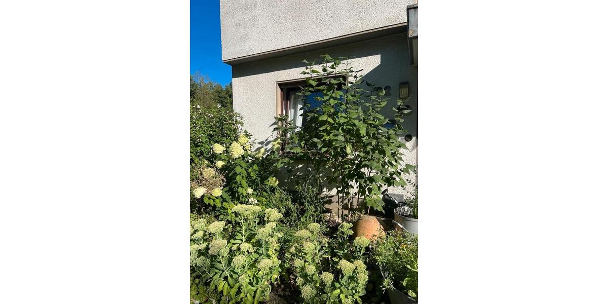 Terrassenwohnung Solingen Wald - 6 Zimmer, 130 m&sup2;, 340.000&euro; | Angebot:27425687