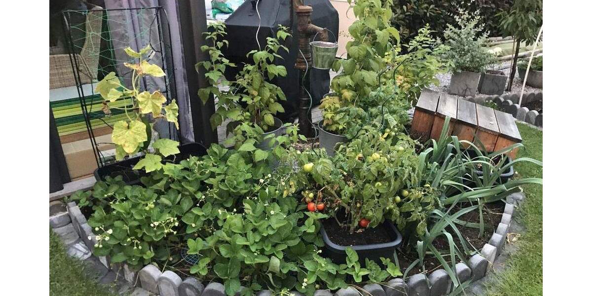 Ohne Makler! 20 min bis Düsseldorf! Modernes Reiheneckhaus in Kleinenbroich - mit großem Garten 5 zimmer