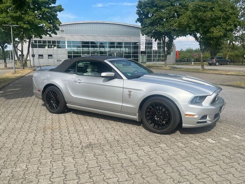 Mustang