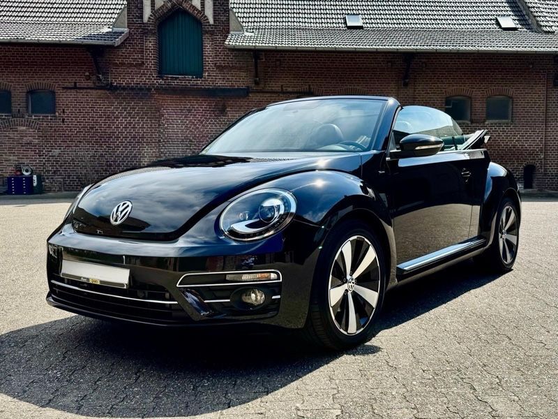 Beetle