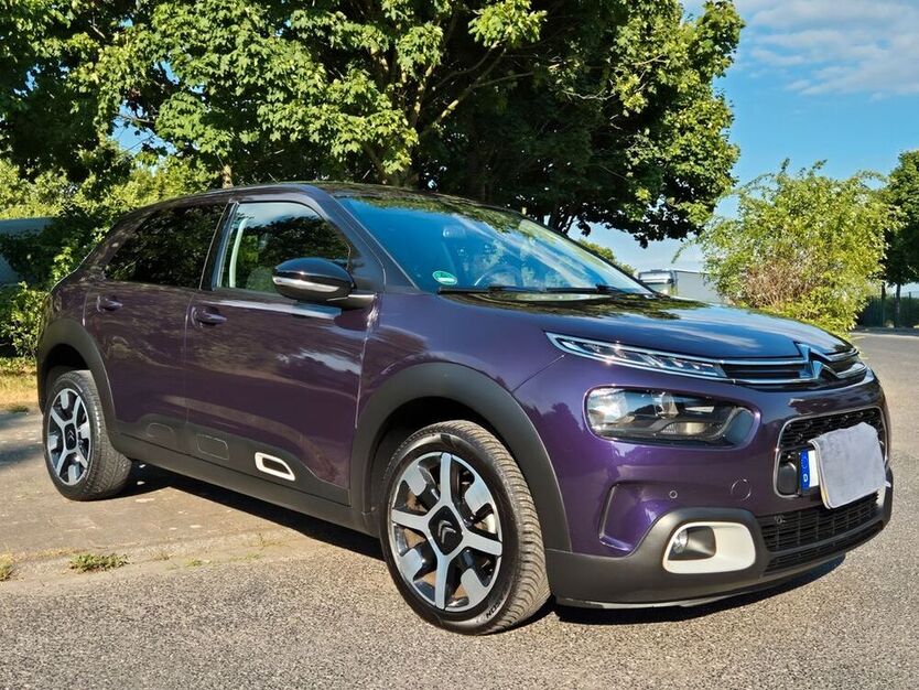 C4 Cactus