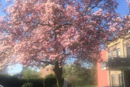 Wohnung zum Kaufen in Kaarst 364.000 € 84.65 m² 3 zimmer