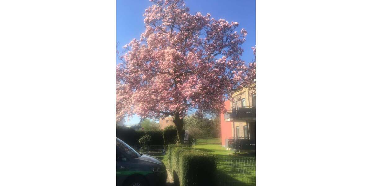 Wohnung zum Kaufen in Kaarst 364.000 € 84.65 m² 3 zimmer