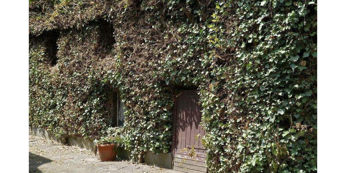 Mehrfamilienhaus, Wohnhaus Düsseldorf Urdenbach - 4 Zimmer, 121 m&sup2;, 739.000&euro; | Angebot:25742631