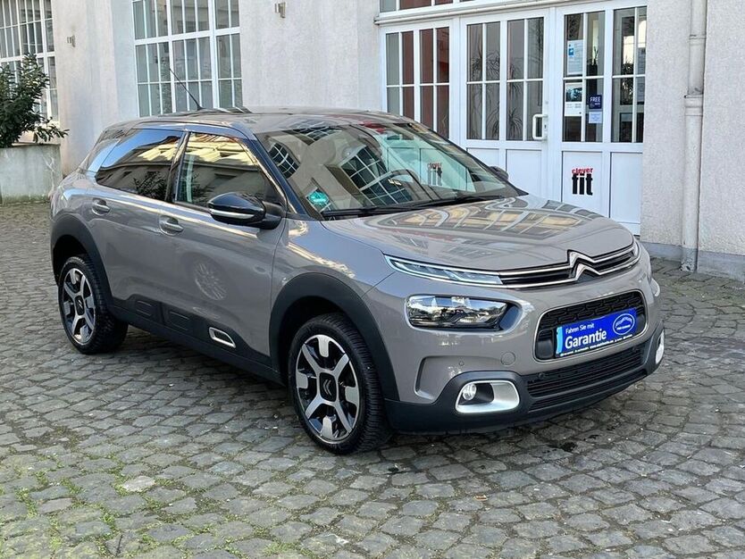 C4 Cactus