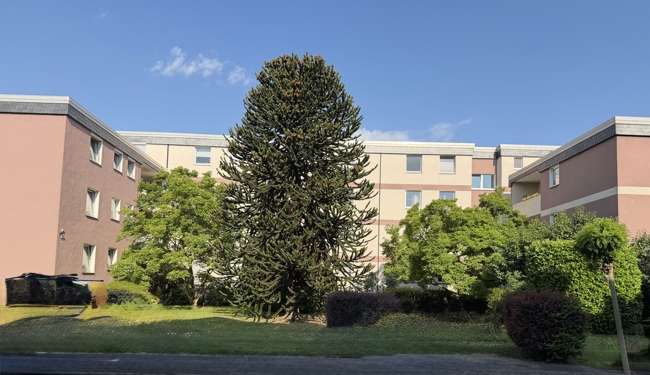 Etagenwohnung Duisburg Essenberg - 3 Zimmer, 75 m&sup2;, 165.000&euro; | Angebot:26931944