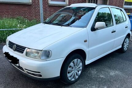 VW Polo