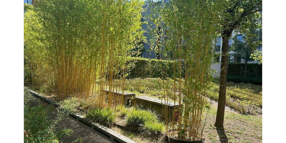 Etagenwohnung Düsseldorf Pempelfort - 2 Zimmer, 58 m&sup2;, 440.000&euro; | Angebot:25176886