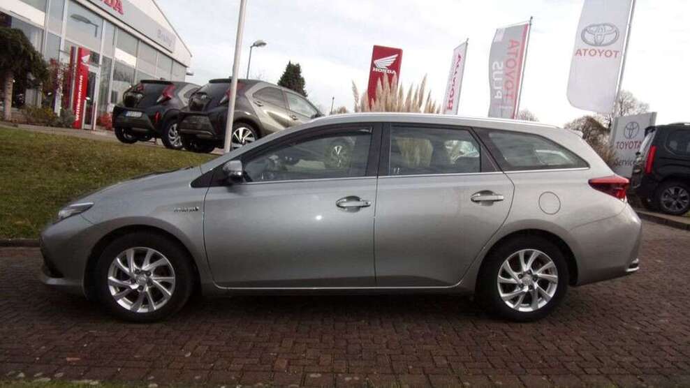 Auris