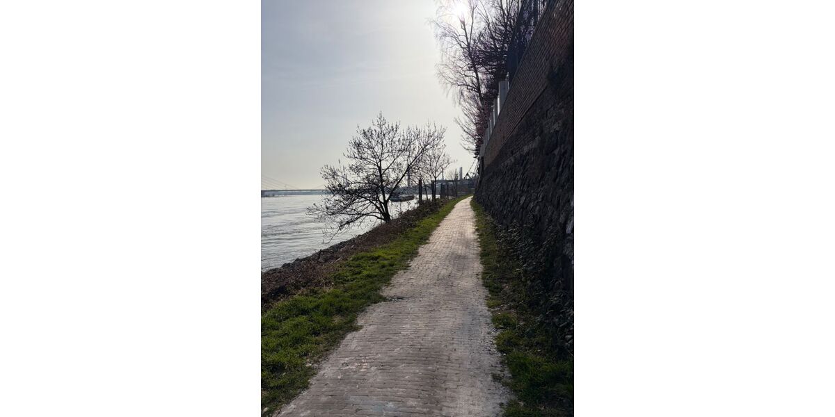 Provisionsfrei* Das letzte Haus Eckhaus EFH mit PV 10,4 KW+Garage 140m zum Rheinufer Energiebedarf 22,4 kWhm2a - Reihenendhaus Duisburg Essenberg | Angebot:25767241