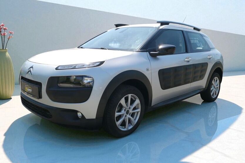 C4 Cactus