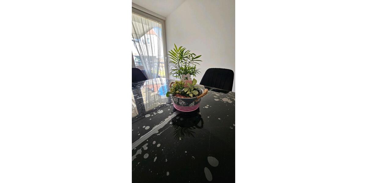 Einfamilienhaus mit eigenem Garten in Duisburg Rheinhausen 5 zimmer