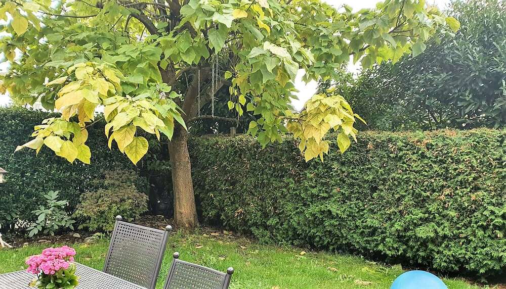 Einfamilienhaus Düsseldorf Stadtbezirk 5 - 3 Zimmer, 120 m&sup2;, 585.000&euro; | Angebot:27260026