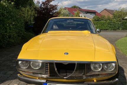 Alfa Romeo Junior