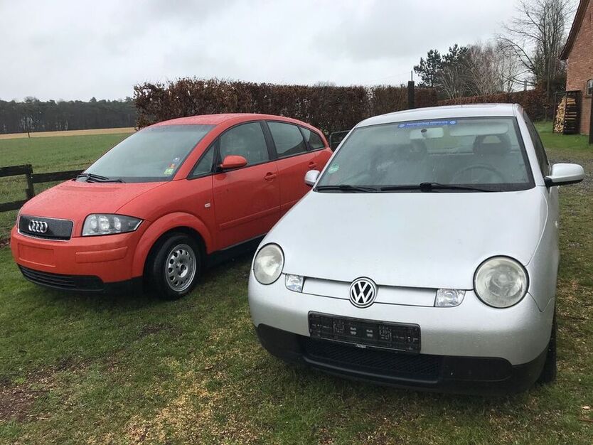 Lupo