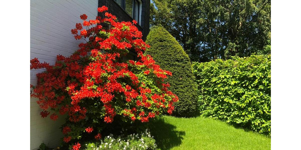 Einfamilienhaus Düsseldorf Stadtbezirk 5 - 4 Zimmer, 130 m&sup2;, 595.000&euro; | Angebot:25640045