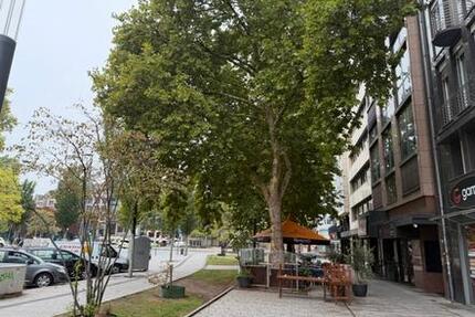 Gewerbeobjekt Düsseldorf Pempelfort - 700&euro; | Angebot:25354833