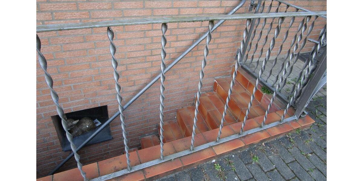 Einfamilienhaus Düsseldorf Stadtbezirk 5 - 6 Zimmer, 120 m&sup2;, 500.000&euro; | Angebot:26824444