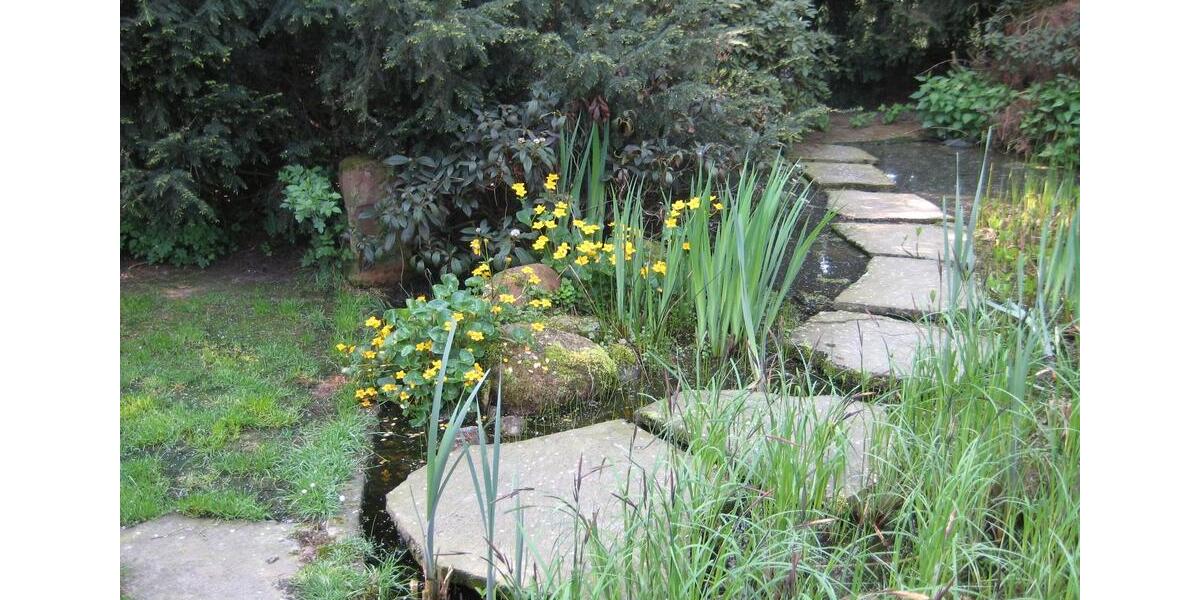 Wohnen im eigenen Park, Einfamilienhaus zimmer