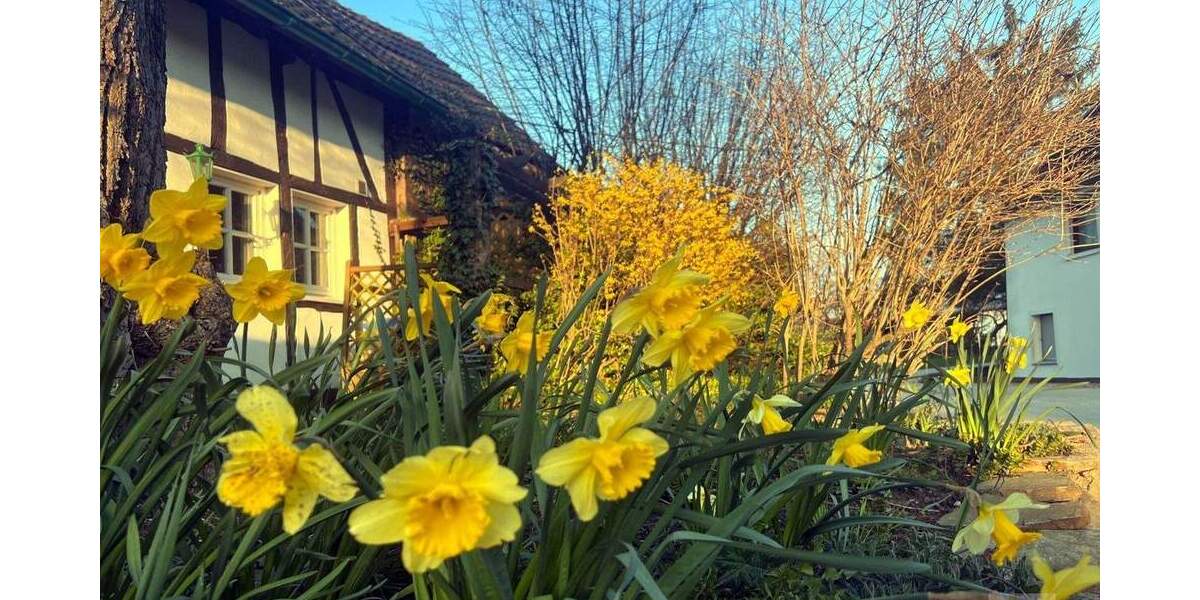 Eine besondere Immobilie für Menschen die das Besondere suchen 3 zimmer