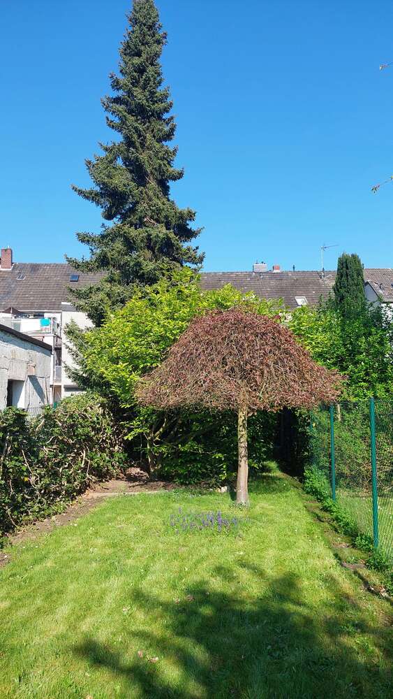 Haus zum Mieten in Mönchengladbach 1.550 € 129 m²