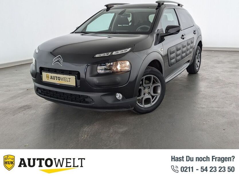 C4 Cactus