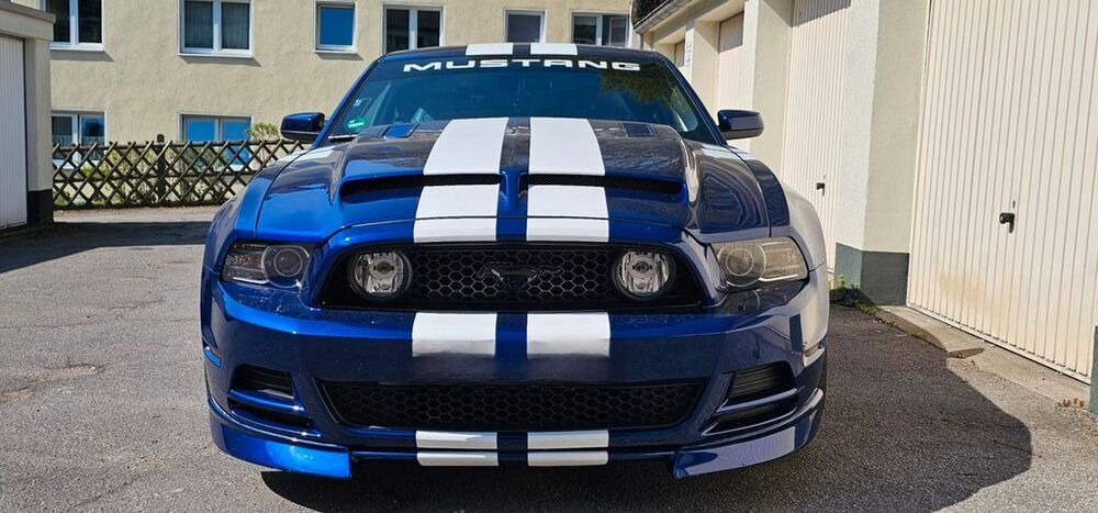 Mustang