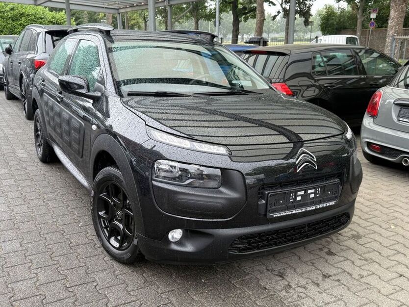C4 Cactus