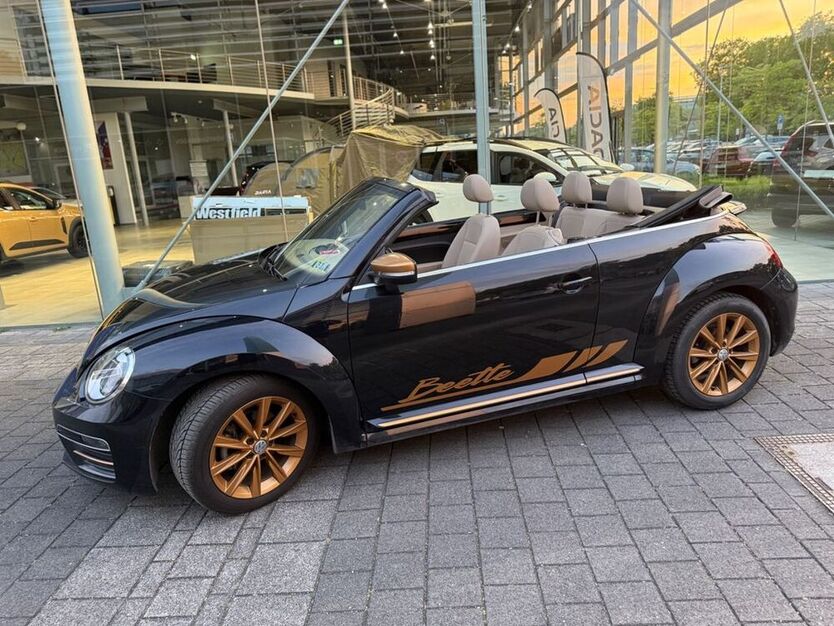Beetle