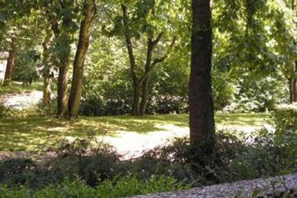 97019145 Modernisierte 1-Zi.-Wohnung in Erkrath! 1 zimmer