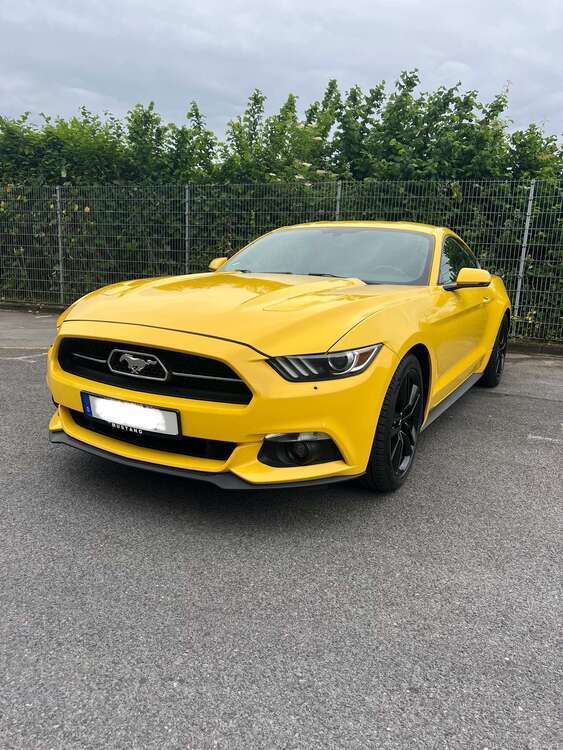 Mustang